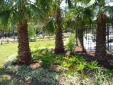 Ambiance Landscape, llc photo 5