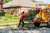 Brents Tree Service photo 8