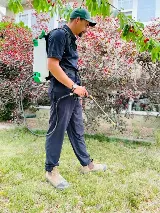 EcoPro Pest Control photo 4