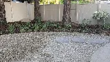 New vision landscape company photo 4