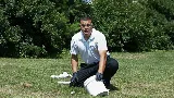 Sting Operation Pest control
