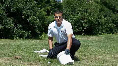 Sting Operation Pest control in Allentown