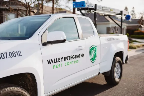 Valley Integrated Pest Control in Fresno