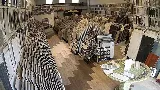 The Noble Floors Wholesale Tile Vinyl Plank Laminate… photo 2