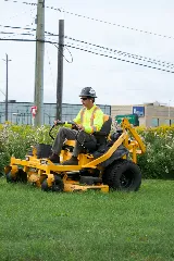 Lush Lawn Care & More photo 2