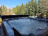 The Hot Tub Man Ltd. photo 3