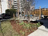 Oville Landscaping photo 2