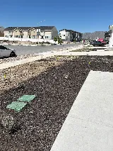Rollins Landscaping, Inc. photo 8