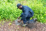 JP McHale Pest Management photo 5