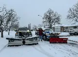 Lion of construction & landscaping & snow removal photo 3