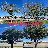 Super Green J&D LLC photo 8