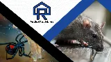 Redefined Pest Solutions