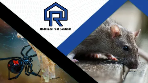 Redefined Pest Solutions in Columbia