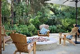 Plant Persuasion photo 6