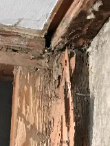 City & Suburbs Pest Control,LLC photo 8
