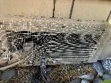California Exterminating Service