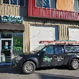 Old Island Pest Control photo 6