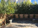 Reynolds-Sebastiani Design Services LLC photo 4