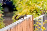 Inclusive Pest Control photo 3