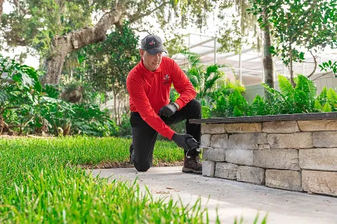 All U Need Pest Control photo 1