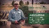 Preventive Pest Control - Albuquerque