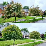 Epic Lawn Care photo 8