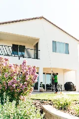 Pro Active Pest Control photo 6