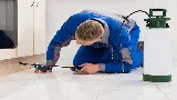 Gilles Lambert Pest Control Services Inc. photo 3