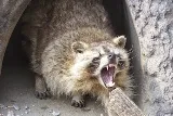 Complete Pest Control photo 7