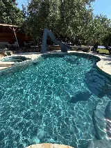 Northside Pool Management