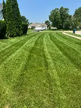 All Seasons Landscaping photo 3