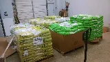 Pro Pest and Lawn Store photo 7