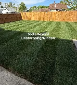 Sod & Beyond Landscaping and Fence photo 3