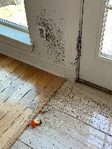 Bug State Pest Control Inc photo 5