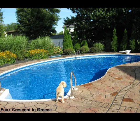 Andressi Pool & Spa LLC in Rochester