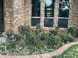 El Jardin Fine Gardens-Lndscps photo 8