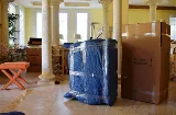 A Wise Move photo 5