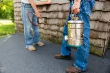 DND Pest Control photo 3