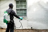 Hawx Pest Control photo 3