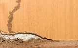 Affordable Termite Control photo 8