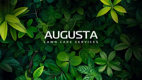 Augusta Lawn Care of Vernon photo 1