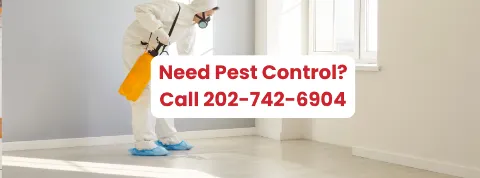 1st Choice Pest Control in Washington