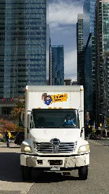 Superior Mover photo 7