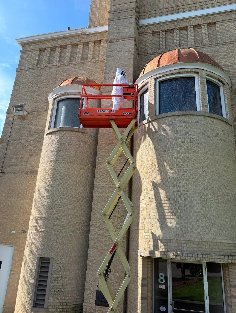 Antix Pest & Termite Control photo 1