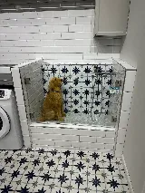 Floor & Decor photo 4