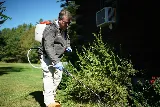 Modern Pest Services photo 3