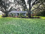 Tampa landscape solutions