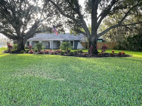 Tampa landscape solutions in Tampa