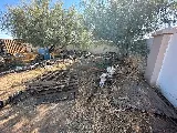 “Copechi” Junk Removal & Landscaping LLC photo 4