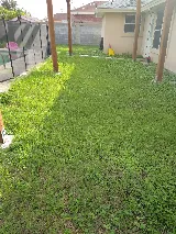 Laredo's Best Landscapers photo 6